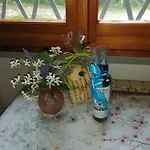 וילה Delle Rose *